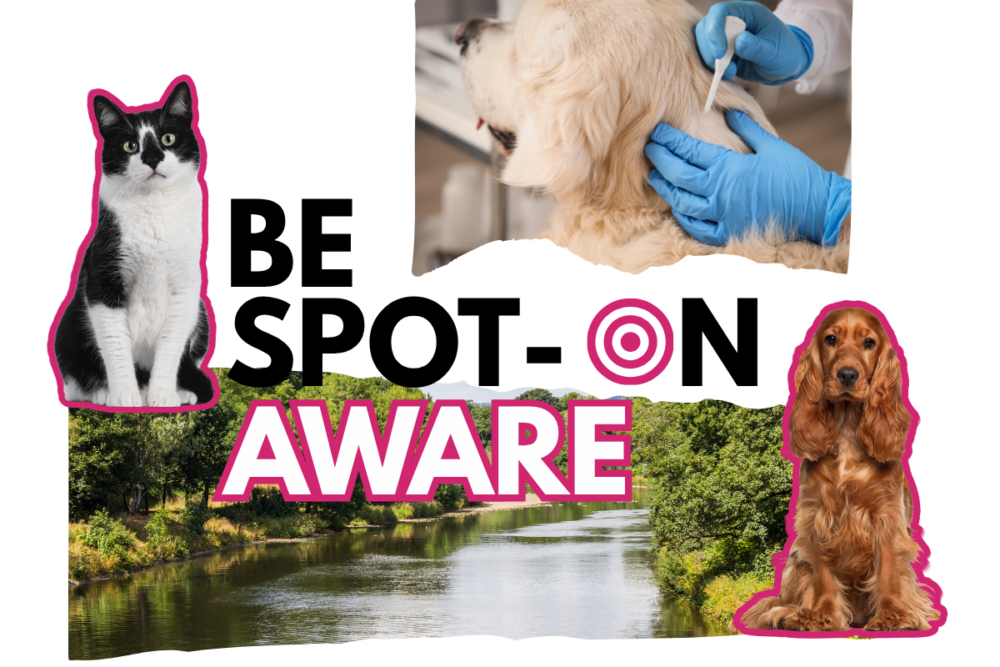 Be Spot-On Aware